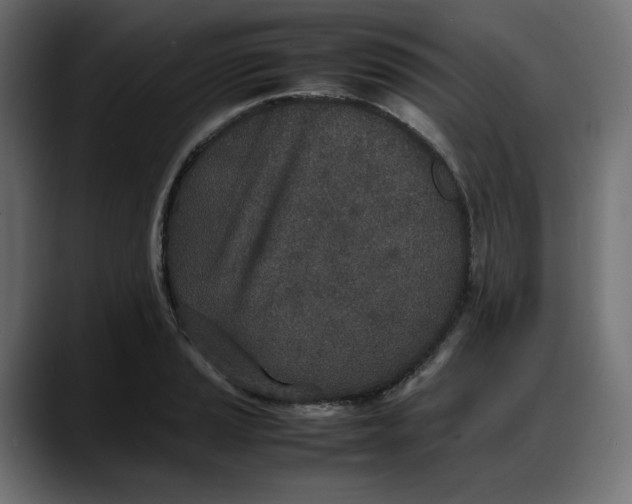 X0000087751037200705291029