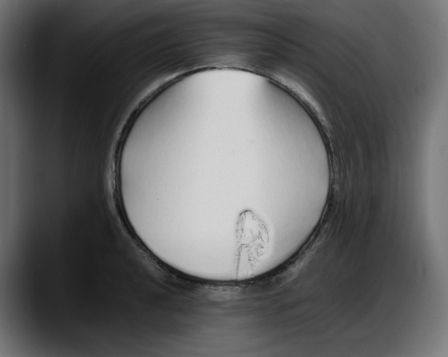 X0000087751040200705291029