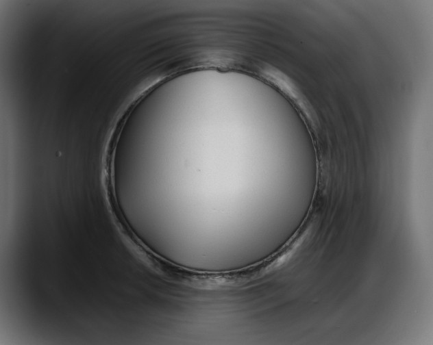 X0000087751042200705291029