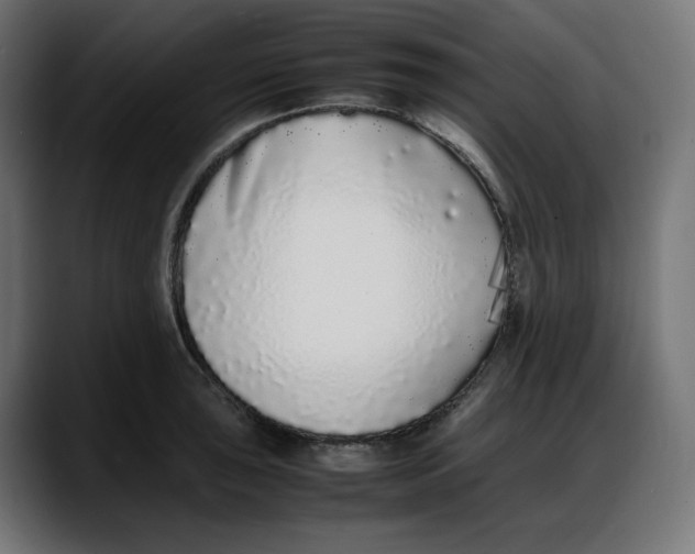 X0000087751043200705291029