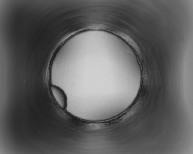 X0000087751044200705291029