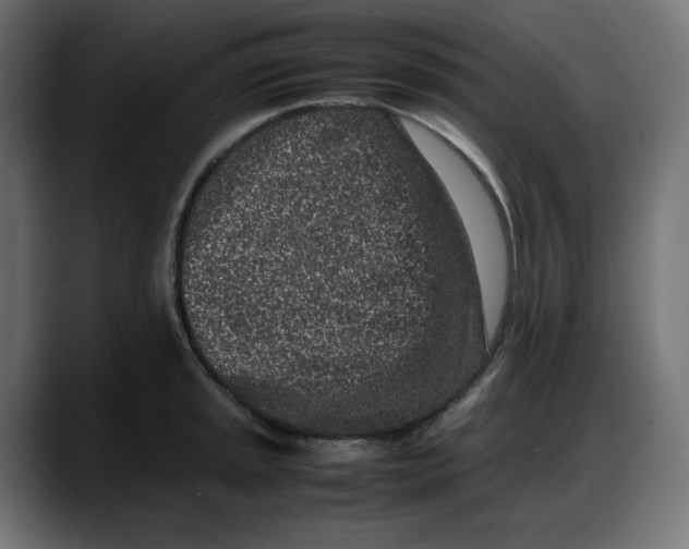 X0000087751045200705291029