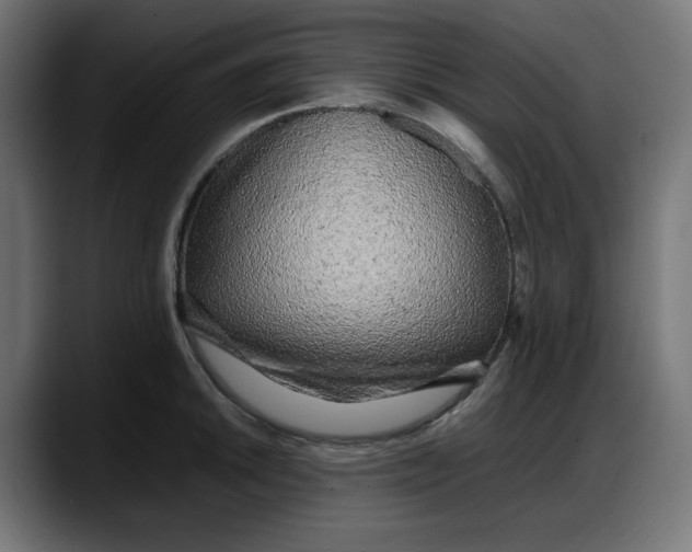 X0000087751046200705291029