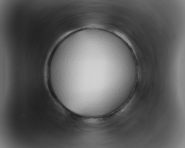 X0000087751048200705291029