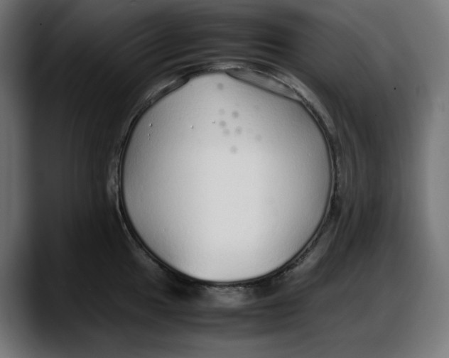 X0000087751049200705291029