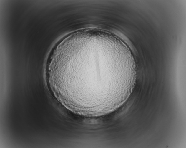 X0000087751051200705291029