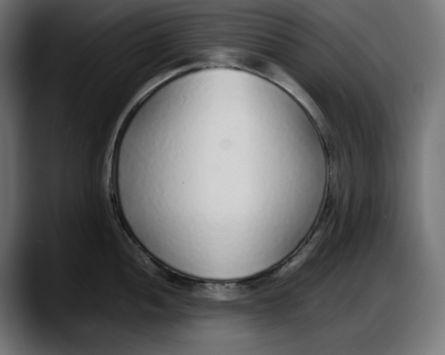 X0000087751052200705291029