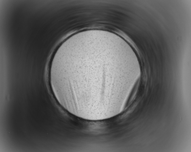 X0000087751053200705291029