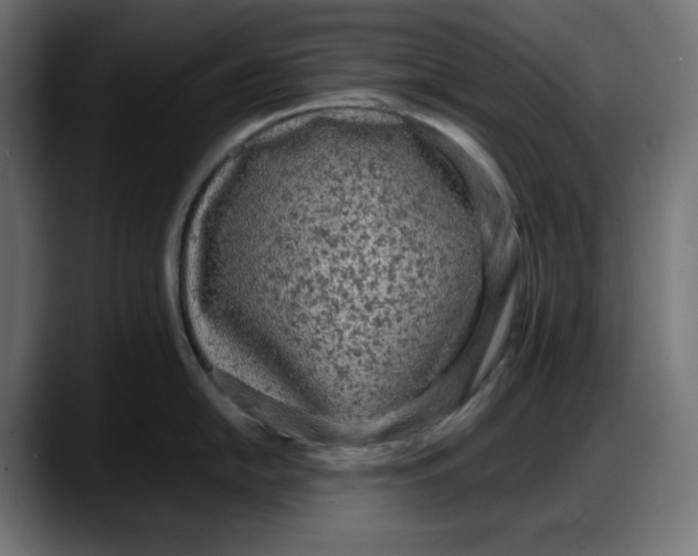 X0000087751054200705291029