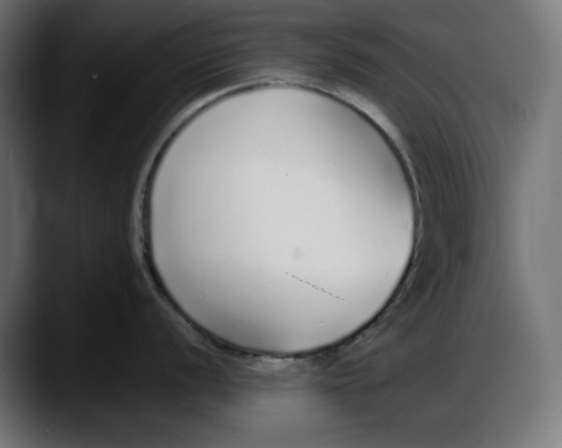 X0000087751056200705291029