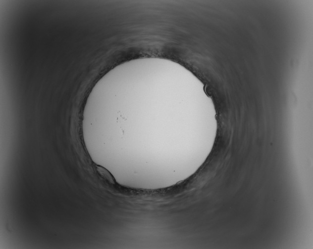 X0000087751057200705291029