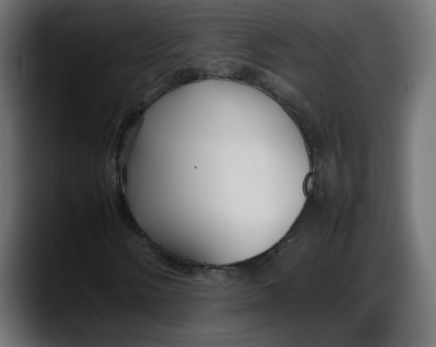 X0000087751058200705291029