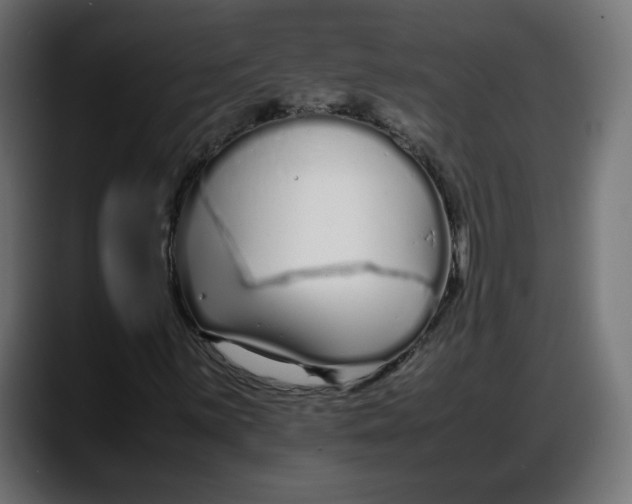 X0000087751059200705291029