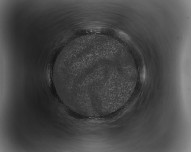 X0000087751060200705291029