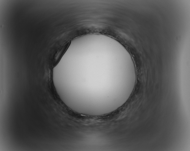 X0000087751061200705291029