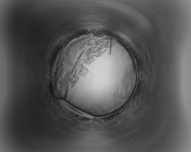 X0000087751063200705291029