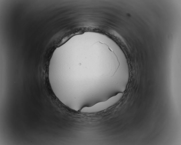 X0000087751064200705291029