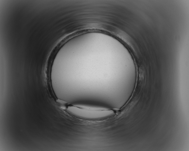 X0000087751068200705291029