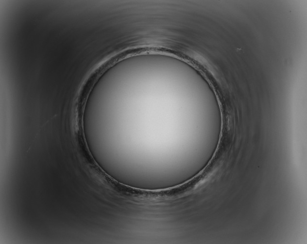 X0000087751069200705291029