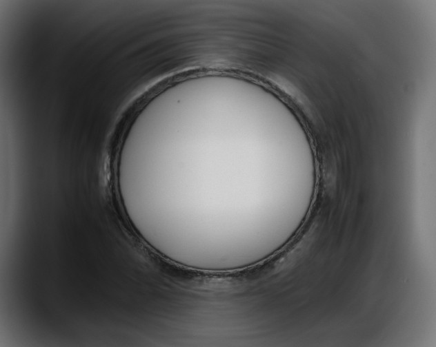 X0000087751070200705291029