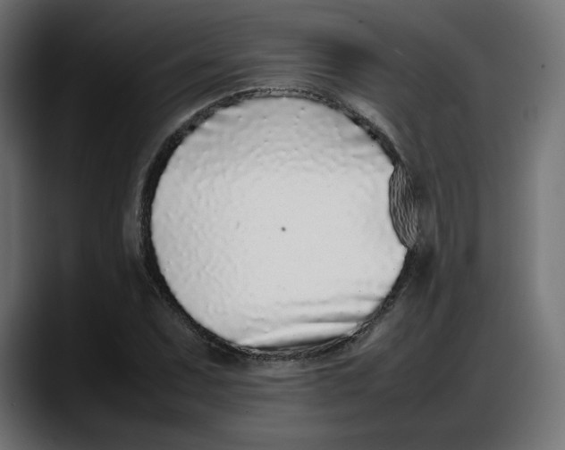 X0000087751071200705291029