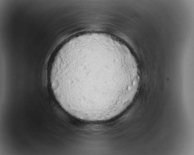 X0000087751075200705291028