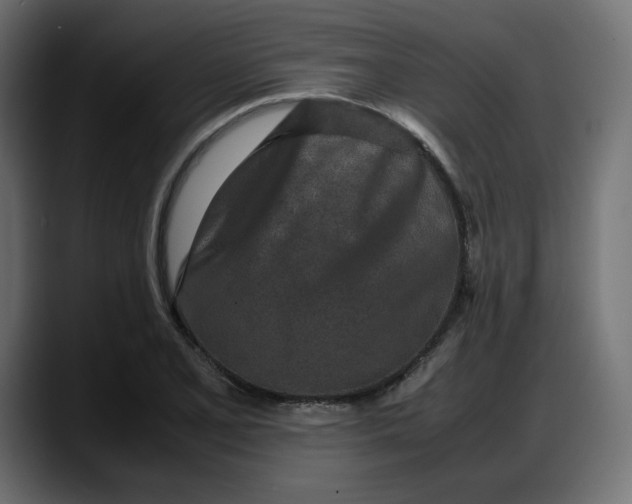 X0000087751077200705291028