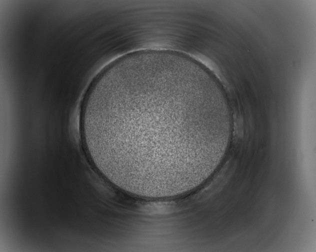 X0000087751078200705291028