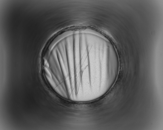 X0000087751079200705291028