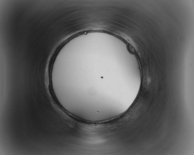 X0000087751080200705291028