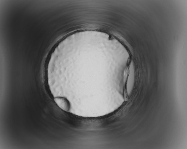 X0000087751083200705291028