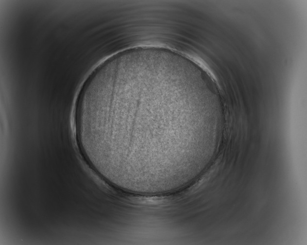 X0000087751084200705291028