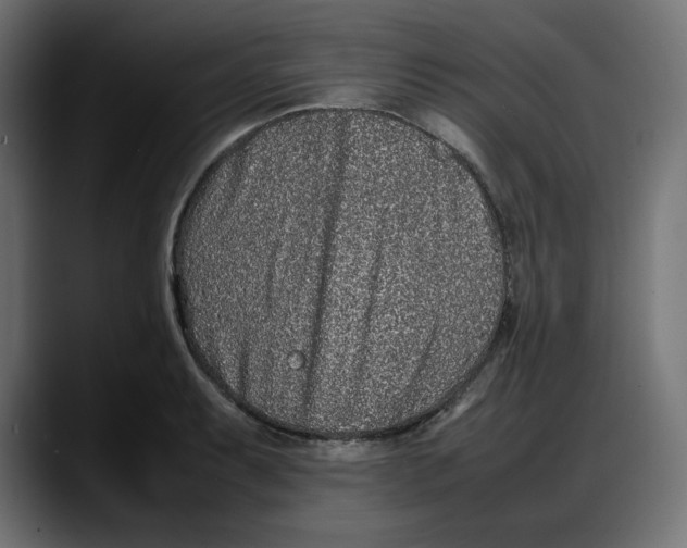 X0000087751087200705291028