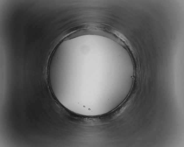 X0000087751089200705291028