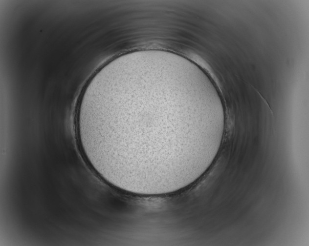 X0000087751090200705291028