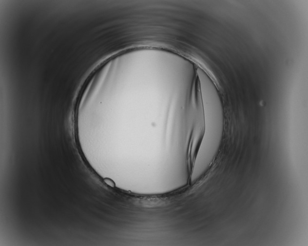 X0000087751092200705291028