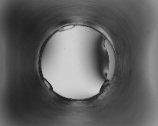 X0000087751093200705291028