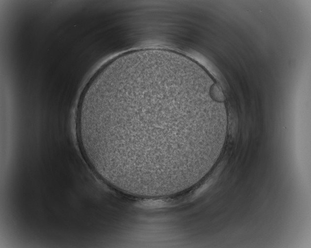 X0000087751094200705291028