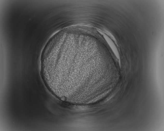 X0000087751095200705291028