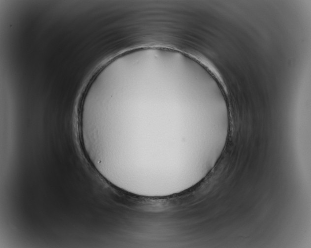 X0000087751096200705291028