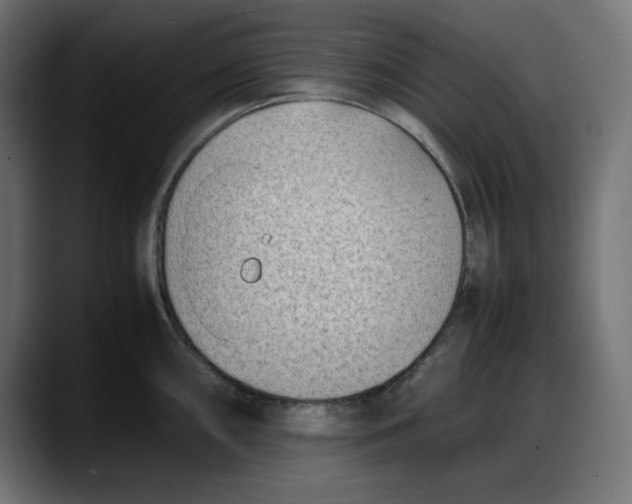 X0000087751098200705291028