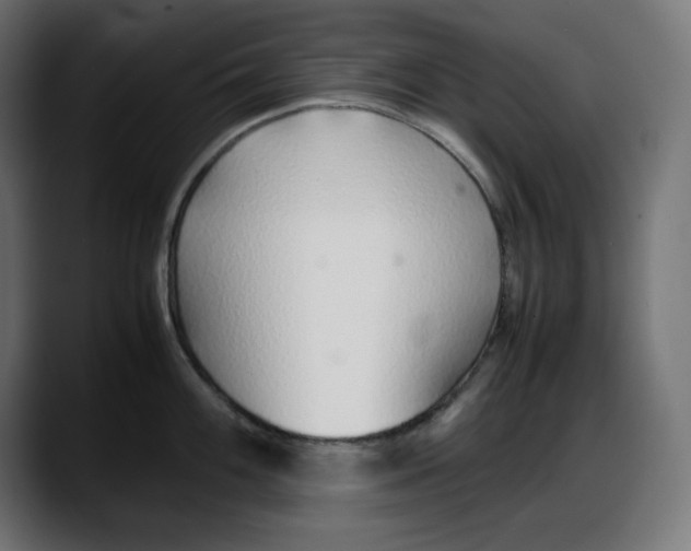 X0000087751100200705291028