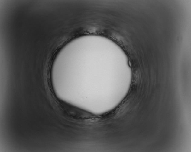 X0000087751105200705291027