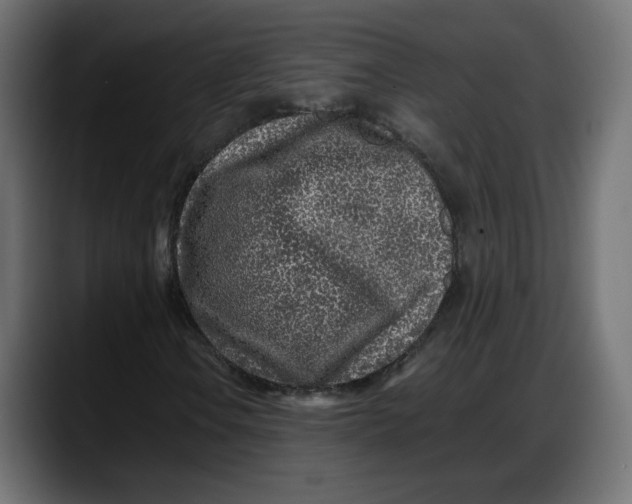 X0000087751106200705291027