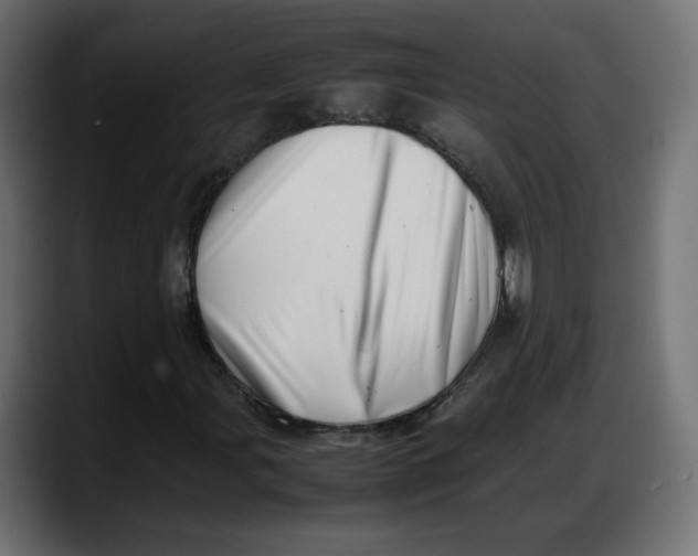 X0000087751107200705291027