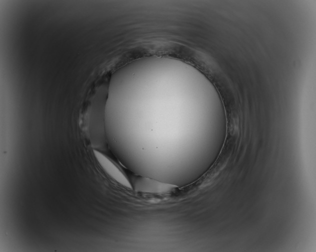 X0000087751108200705291027