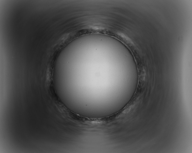 X0000087751110200705291028