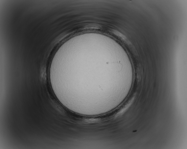 X0000087751113200705291028