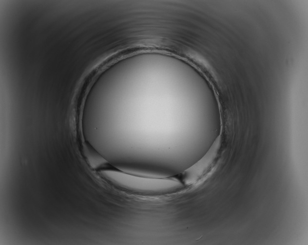 X0000087751114200705291028