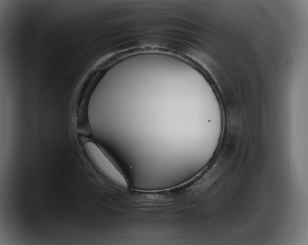 X0000087751115200705291028